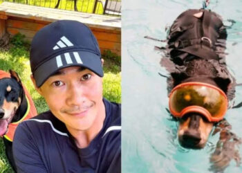 Bae Jeong-nam shares tender final film photos of beloved pet Bell |