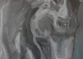 Painting of a horse's head in shades of gray by Bella DiBernardo. (Courtesy photo)