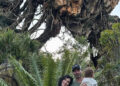 Johnny Galecki, Morgan Galecki, son Avery, daughter Oona at Disney World