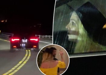 Britney Spears 'was not intoxicated' before erratic driving video: restaurant manager