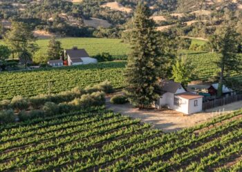 Caesars Entertainment Family to Auction off 60-Acre California Wine Country Vineyard