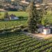 Caesars Entertainment Family to Auction off 60-Acre California Wine Country Vineyard