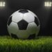 Cegelka, Lombardi lift Royals to Class 1A final – Wilkes-Barre Citizens' Voice