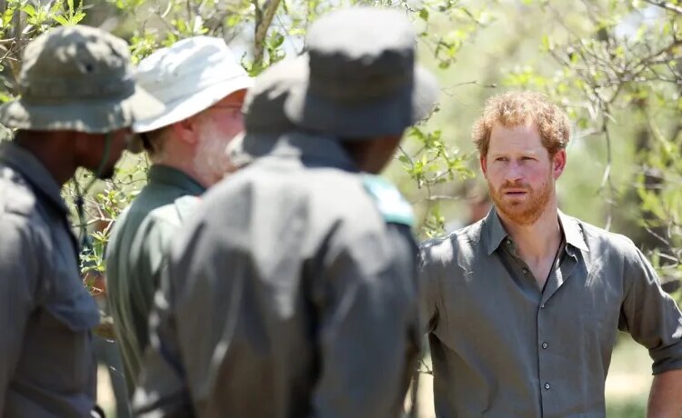 Chad has revoked the mandate of a nonprofit conservation group tied to Prince Harry to manage its wildlife reserves, accusing the charity of not doing enough to curb poaching.