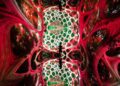 Red swirls and green concentric circles fill the Infinity Room.
