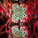 Red swirls and green concentric circles fill the Infinity Room.