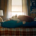 Superman, played by David Corenswet, lies on the bed recouping with Krypto the superdog resting on his chest. .