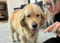 Diane Keaton/instagram Diane Keaton with her dog in her final Instagram post in April.