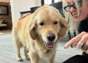 Diane Keaton/instagram Diane Keaton with her dog in her final Instagram post in April.