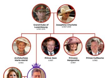 The Luxembourg royal family tree
