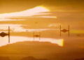 tie fighter design