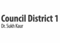 City Council District 1