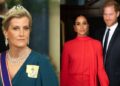 Duchess of Edinburgh performs her royal duties amid Harry, Meghans feud with senior royals