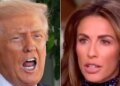 Ex-Trump Aide Shreds Trump's White House Ballroom Plan With A Brutal Royal Comparison