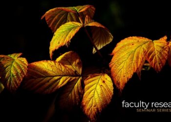 Faculty Research Seminar Series Continues 20 Years of Scholarship