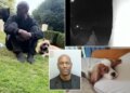 'Fast and Furious' star Tyrese Gibson arrested after his dogs killed neighbor's pooch outside Georgia home