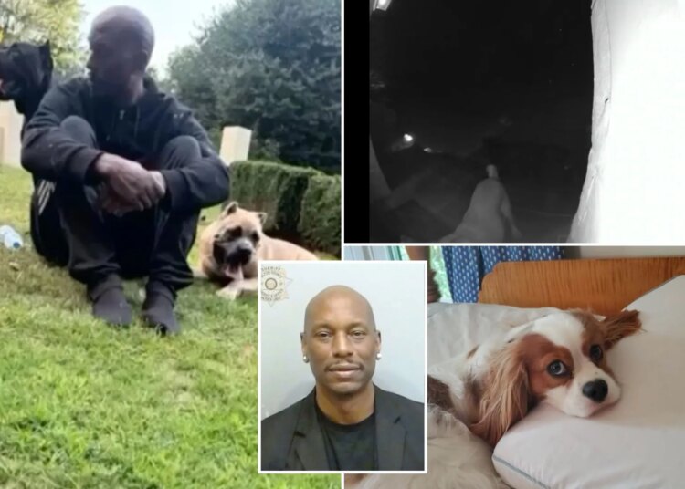 'Fast and Furious' star Tyrese Gibson arrested after his dogs killed neighbor's pooch outside Georgia home