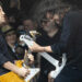 Foo Fighters share electrifying new music teaser: “About…