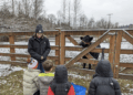 Visit Kelsey Creek Farm every day and view their farm animals. (Image courtesy Kelsey Creek Farm).