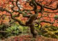 Your personal and free daily horoscope for Tuesday, 10/21/2025.
