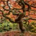 Your personal and free daily horoscope for Tuesday, 10/21/2025.