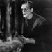 FILE - Boris Karloff as the monster in 1931's "Frankenstein." It's sure to once again be one of the most popular movies to watch during the Halloween season.