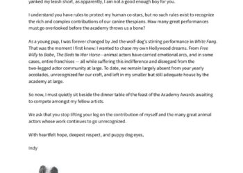 'Good Boy' Dog Indy Signs Open Letter to Oscars for Animal Actors