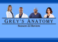 Grey's Anatomy Season 22 Premiere Review