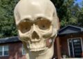 Halloween's grim tidings make me love life all the more | Entertainment/Life