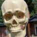 Halloween's grim tidings make me love life all the more | Entertainment/Life