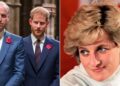 Harry and William 'heartsick' over Princess Diana news - Celebrity News - Entertainment