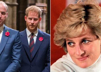 Harry and William 'heartsick' over Princess Diana news - Celebrity News - Entertainment