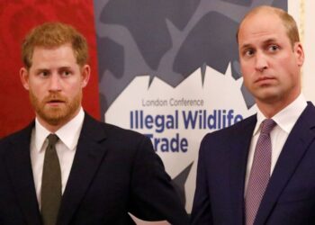 Harry and William reunion verdict after years of fighting - Celebrity News - Entertainment