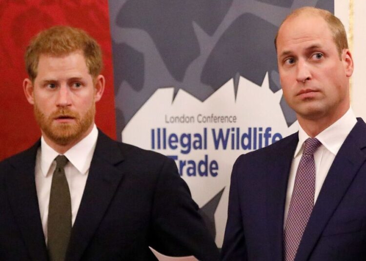 Harry and William reunion verdict after years of fighting - Celebrity News - Entertainment