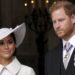 Harry 'wouldn't have married' Meghan if his mom was alive - Celebrity News - Entertainment