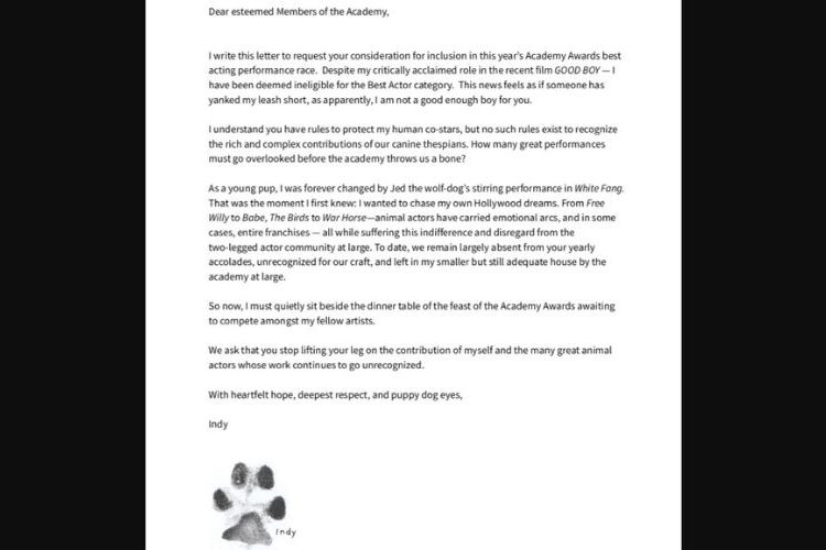 Horror movie star Indy the Dog from the film "Good Boy" asks the Oscars to include animal actors