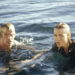 Carter Blake and Dr. Susan work together to kill the shark in Deep Blue Sea