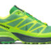 Feid x Salomon XT-Pathway 2