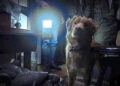 <span class="wp-caption-text">Independant Film Company</span>