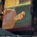 Jackie Apostel, 30, has shared BTS snaps from her boyfriend Cruz Beckham's new music video as she showed her support to the aspiring singer on Instagram on Friday