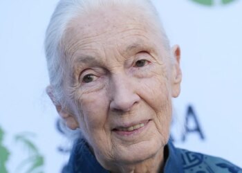Jane Goodall's Cause Of Death Revealed