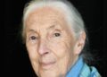 Jane Goodall’s Cause of Death Confirmed | Jane Goodall | Celebrity News and Gossip | Entertainment, Photos and Videos