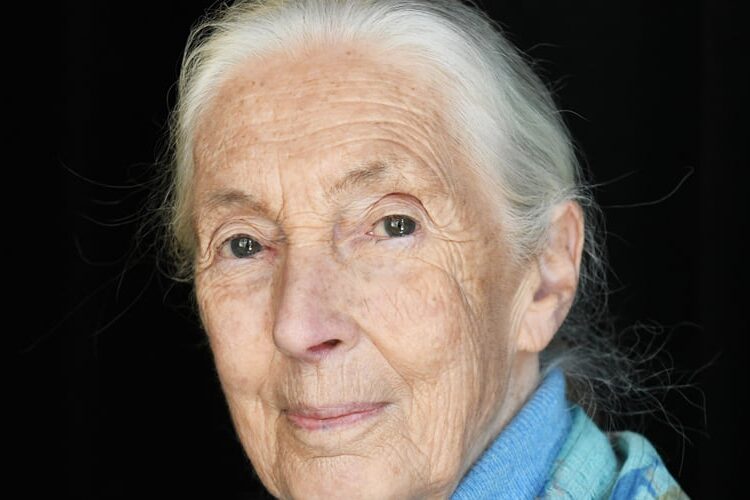 Jane Goodall’s Cause of Death Confirmed | Jane Goodall | Celebrity News and Gossip | Entertainment, Photos and Videos