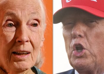 Jane Goodall’s Posthumous Netflix Special Features A Stellar Burn Of Trump