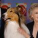 June Lockhart, beloved mother figure from 'Lassie' and 'Lost In Space,' dies at 100 | Celebrity News