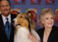 June Lockhart, right, who played the character of Ruth Martin, mother of Timmy Martin, played by Jon Provost, left, during the classic series "Lassie," poses for a photograph with Lassie, 9th generation, during arrivals at CBS's 75th anniversary celebration Sunday, Nov. 2, 2003, in New York. (AP Photo/Louis Lanzano, File)