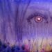 'KPop Demon Hunters' Singer EJAE on New Song 'In Another World'