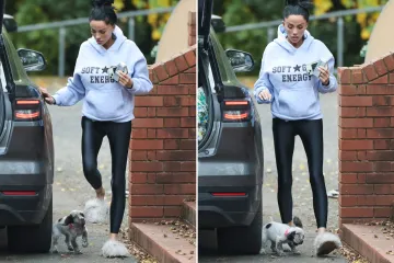Katie Price risks backlash as she poses with pregnant bald cat in very racy music video
