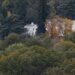 A drone view shows Royal Lodge, a sprawling white mansion, nestled among trees.