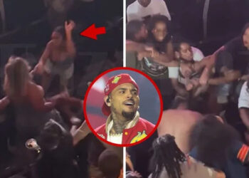 Fight Erupts In Crowd At Chris Brown Concert